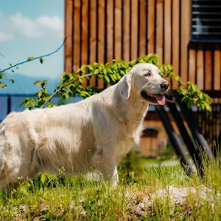 Wellness Tri Vody Demaenovska Dolina בקתה *