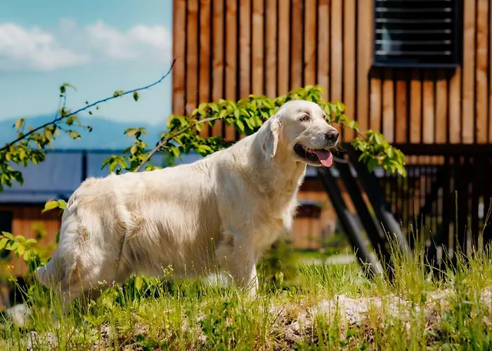 Wellness Tri Vody Demaenovska Dolina 木屋 *